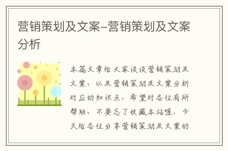 营销策划及文案-营销策划及文案分析