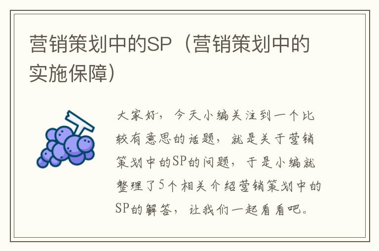 营销策划中的SP（营销策划中的实施保障）