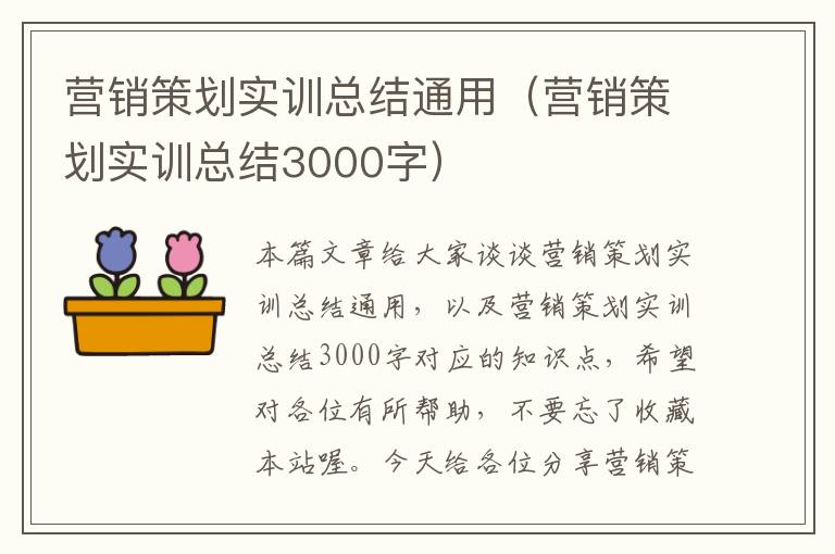 营销策划实训总结通用（营销策划实训总结3000字）