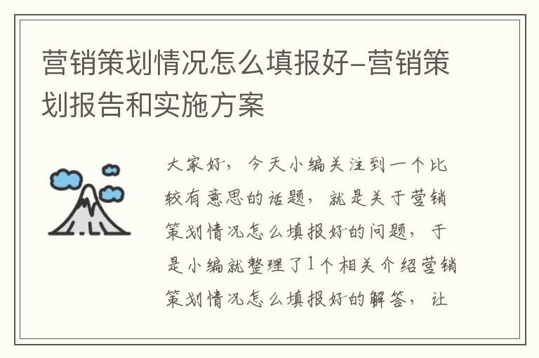 营销策划情况怎么填报好-营销策划报告和实施方案