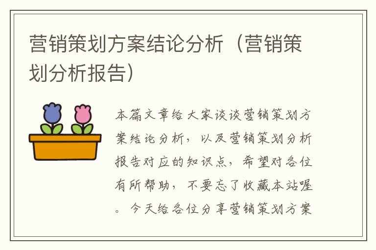 营销策划方案结论分析（营销策划分析报告）