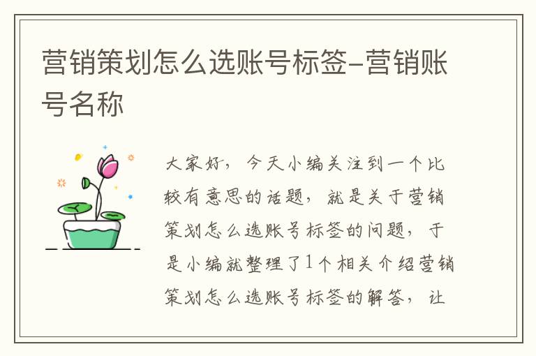 营销策划怎么选账号标签-营销账号名称