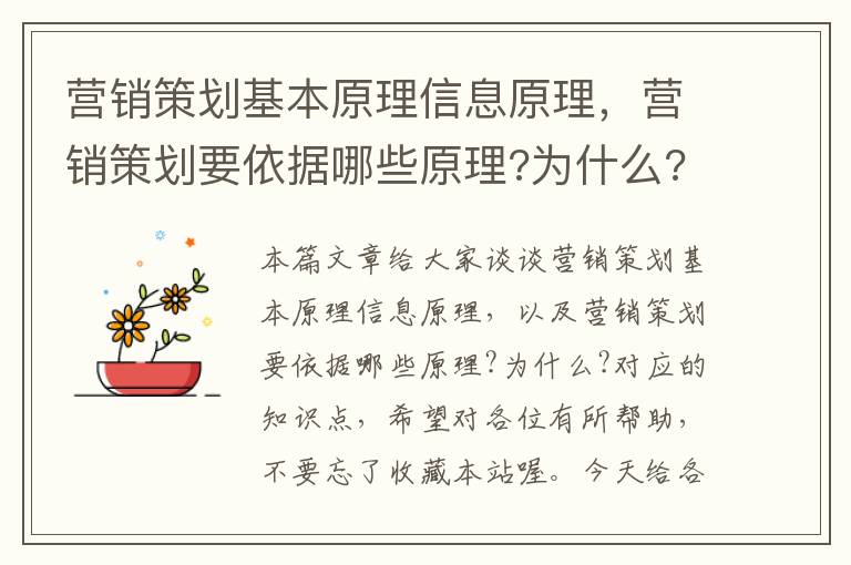 营销策划基本原理信息原理，营销策划要依据哪些原理?为什么?