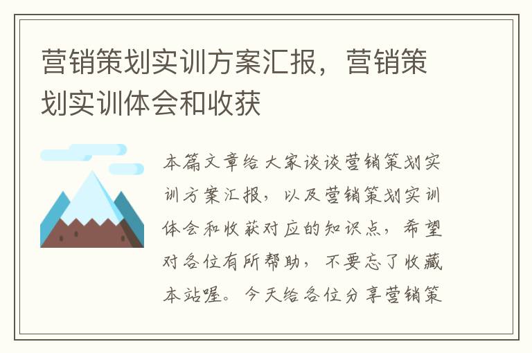 营销策划实训方案汇报，营销策划实训体会和收获