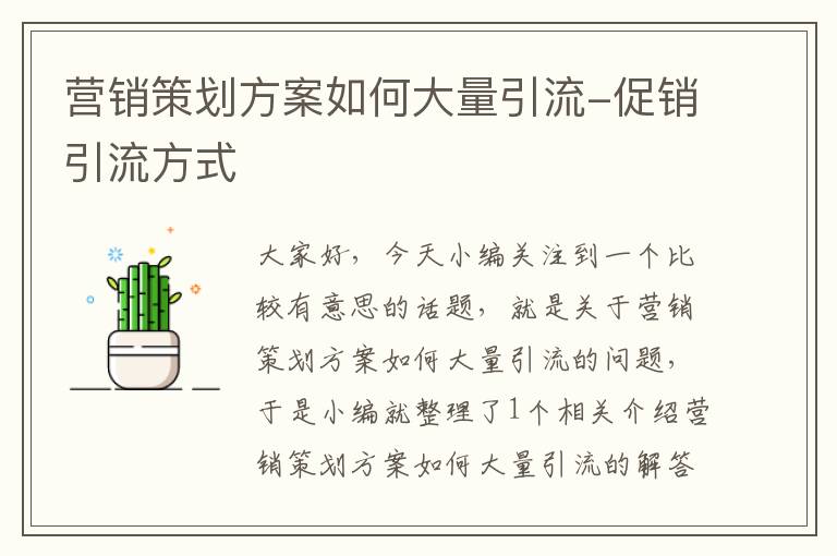 营销策划方案如何大量引流-促销引流方式