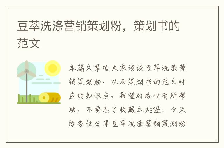 豆萃洗涤营销策划粉，策划书的范文