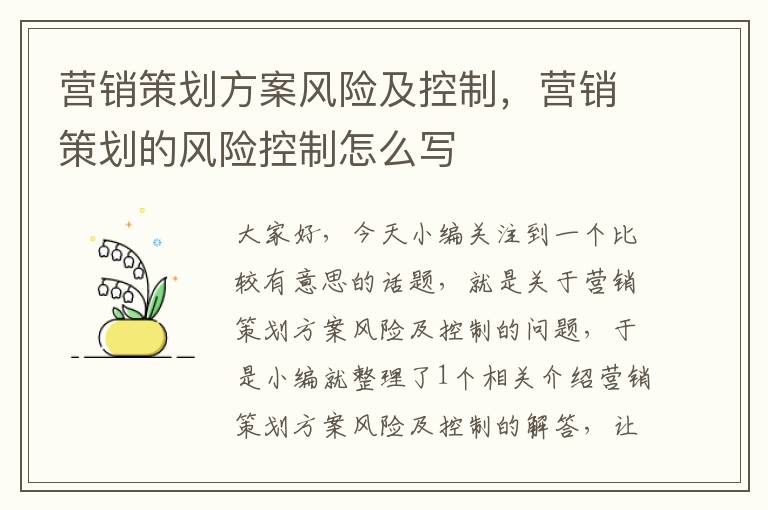 营销策划方案风险及控制，营销策划的风险控制怎么写