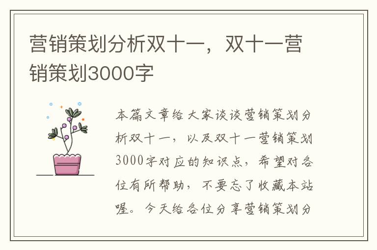 营销策划分析双十一，双十一营销策划3000字