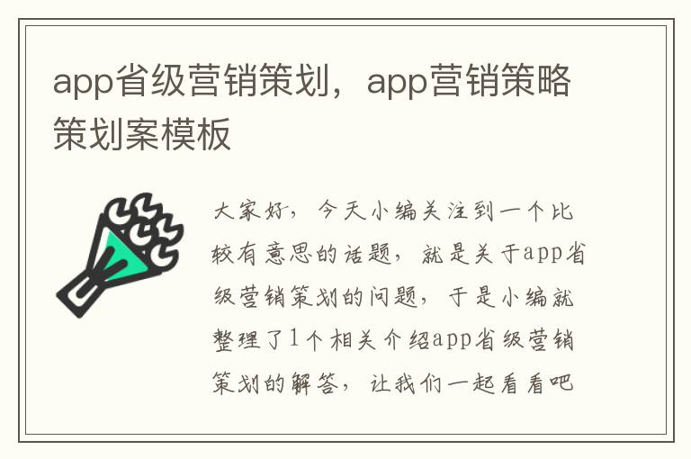 app省级营销策划，app营销策略策划案模板