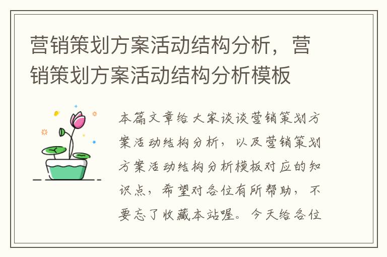 营销策划方案活动结构分析，营销策划方案活动结构分析模板