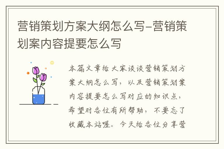 营销策划方案大纲怎么写-营销策划案内容提要怎么写