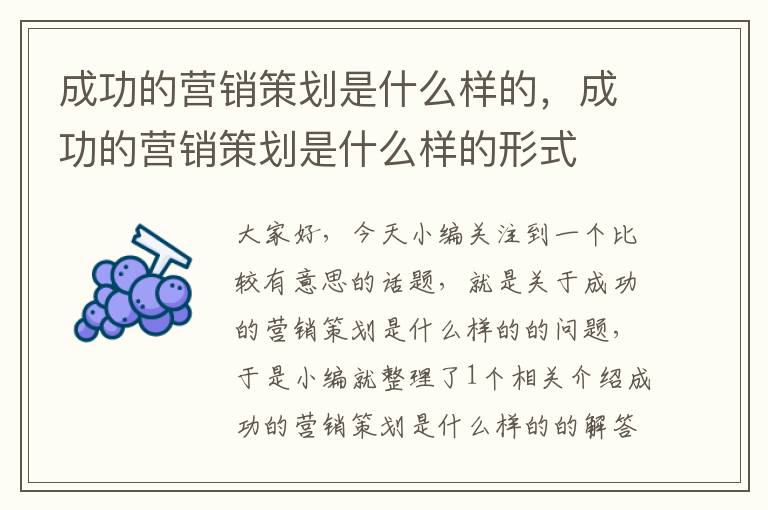 成功的营销策划是什么样的，成功的营销策划是什么样的形式