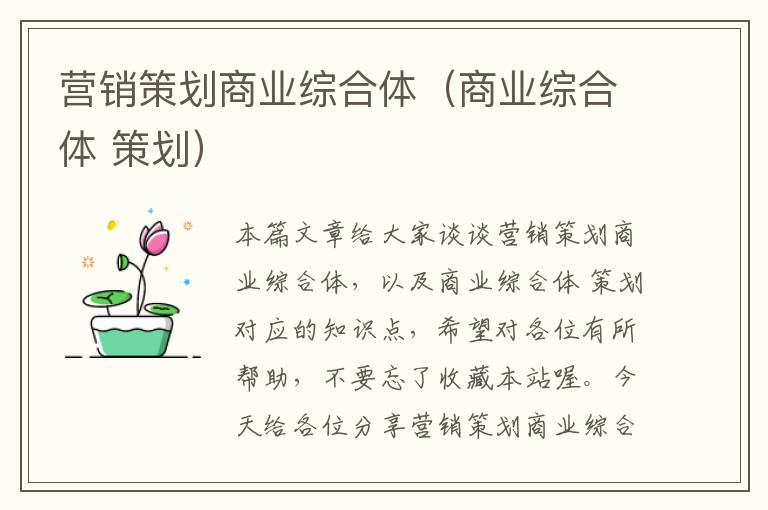 营销策划商业综合体（商业综合体 策划）