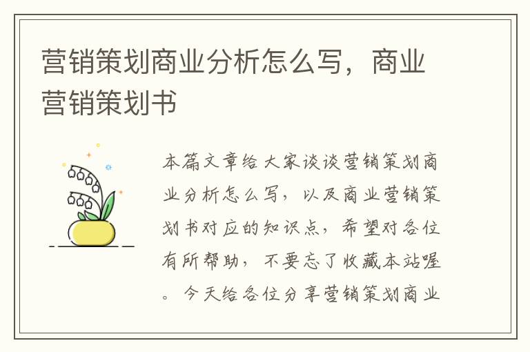 营销策划商业分析怎么写，商业营销策划书