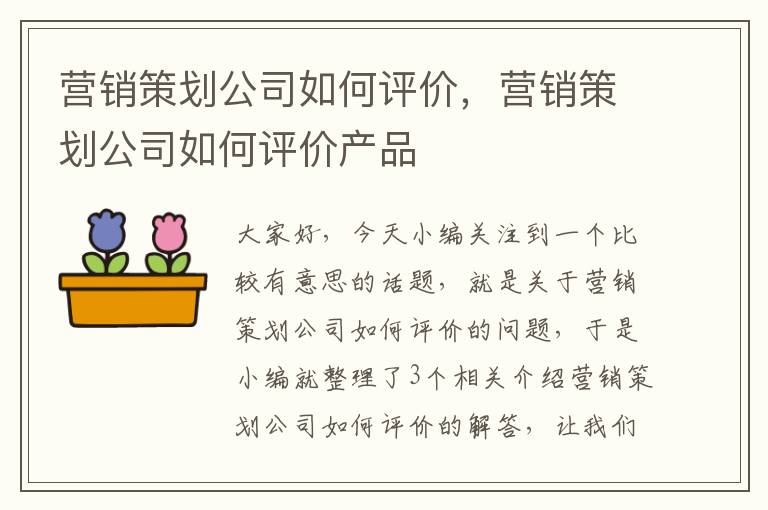 营销策划公司如何评价，营销策划公司如何评价产品