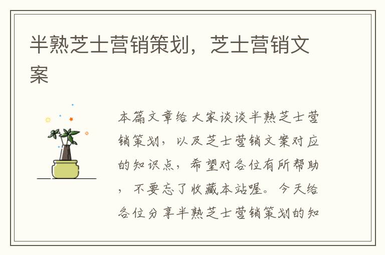 半熟芝士营销策划，芝士营销文案