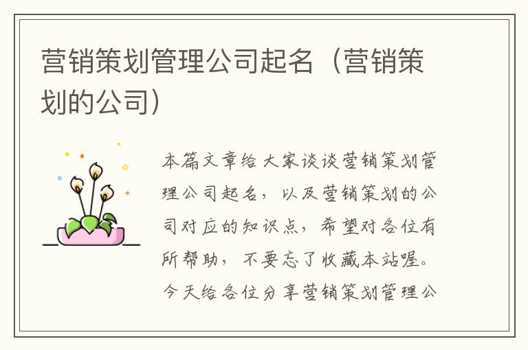 营销策划管理公司起名（营销策划的公司）