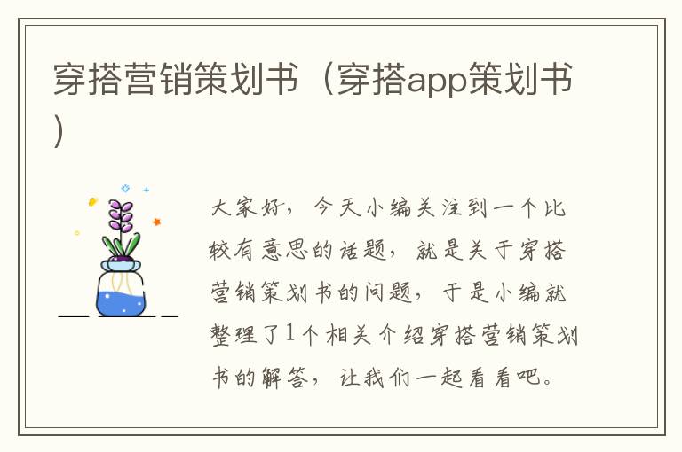 穿搭营销策划书（穿搭app策划书）