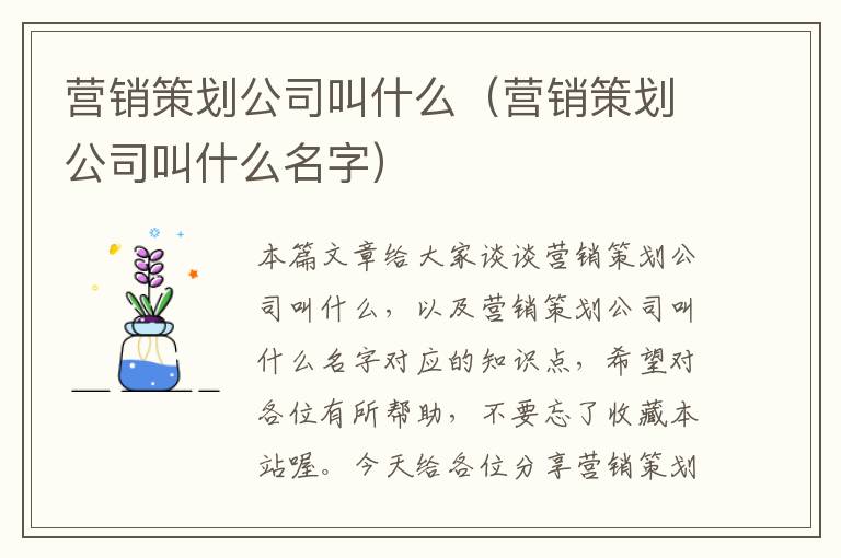 营销策划公司叫什么（营销策划公司叫什么名字）