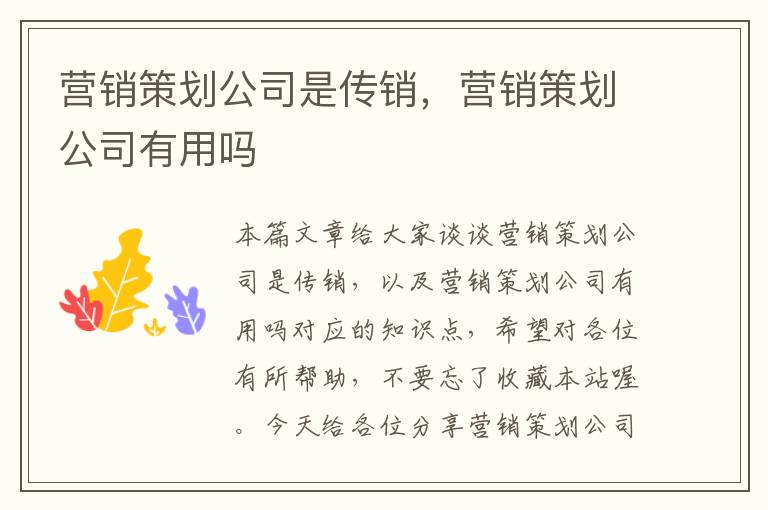 营销策划公司是传销，营销策划公司有用吗