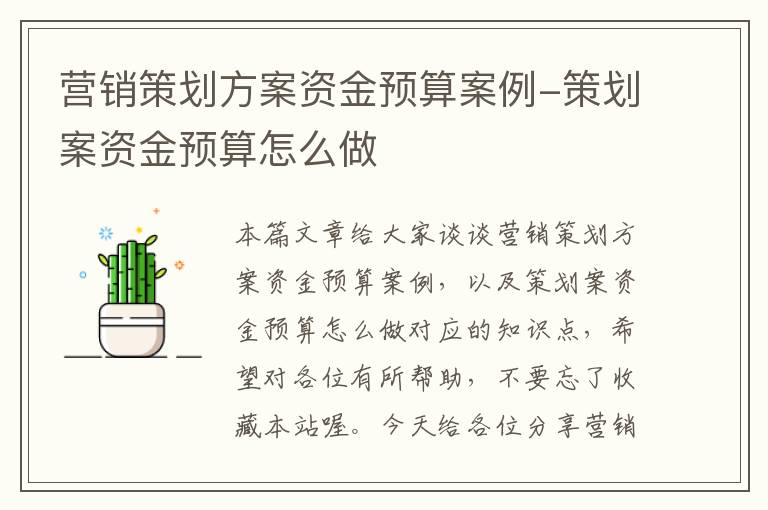 营销策划方案资金预算案例-策划案资金预算怎么做