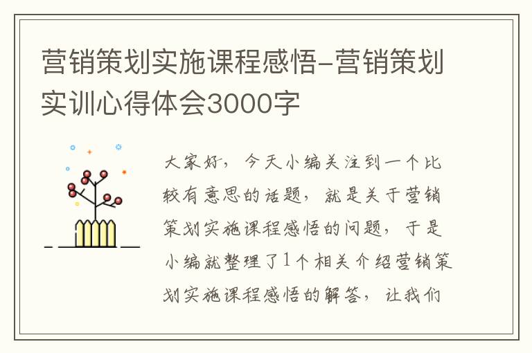 营销策划实施课程感悟-营销策划实训心得体会3000字