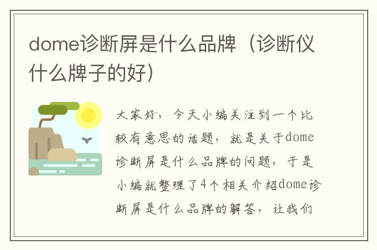 dome诊断屏是什么品牌（诊断仪什么牌子的好）