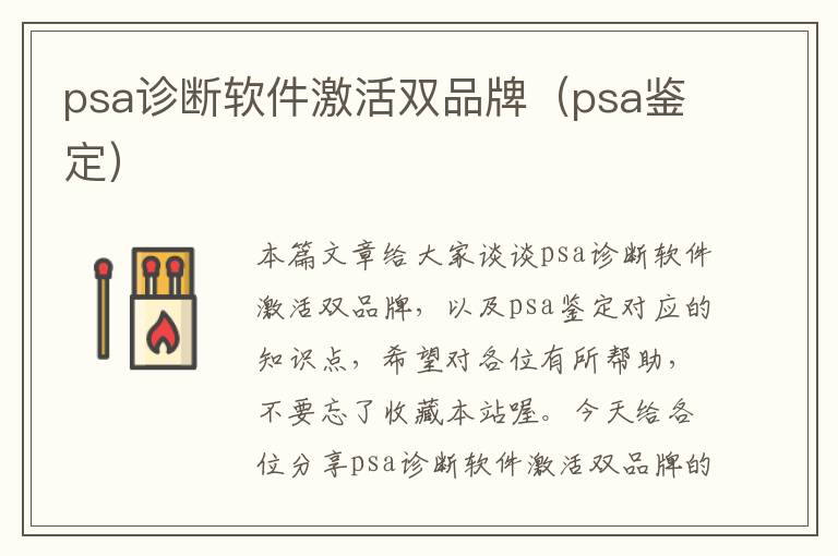 psa诊断软件激活双品牌（psa鉴定）