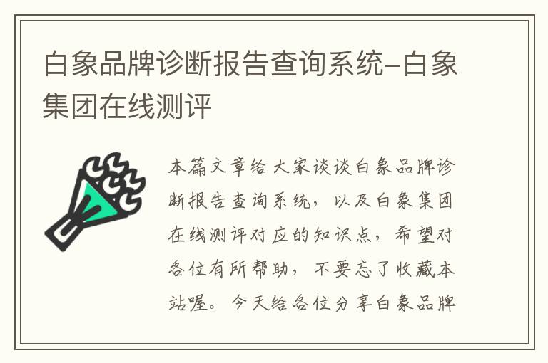 白象品牌诊断报告查询系统-白象集团在线测评