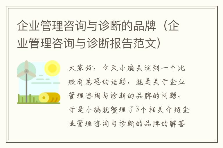 企业管理咨询与诊断的品牌（企业管理咨询与诊断报告范文）