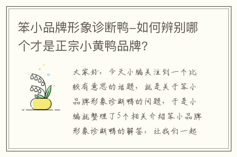 笨小品牌形象诊断鸭-如何辨别哪个才是正宗小黄鸭品牌?