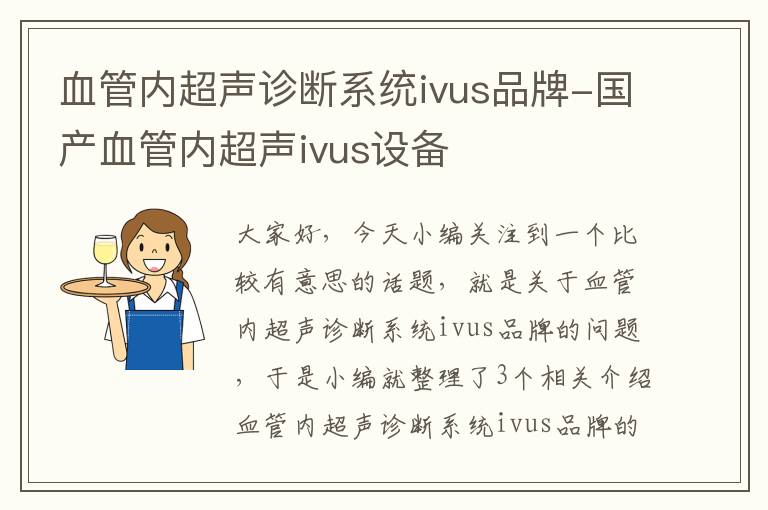 血管内超声诊断系统ivus品牌-国产血管内超声ivus设备